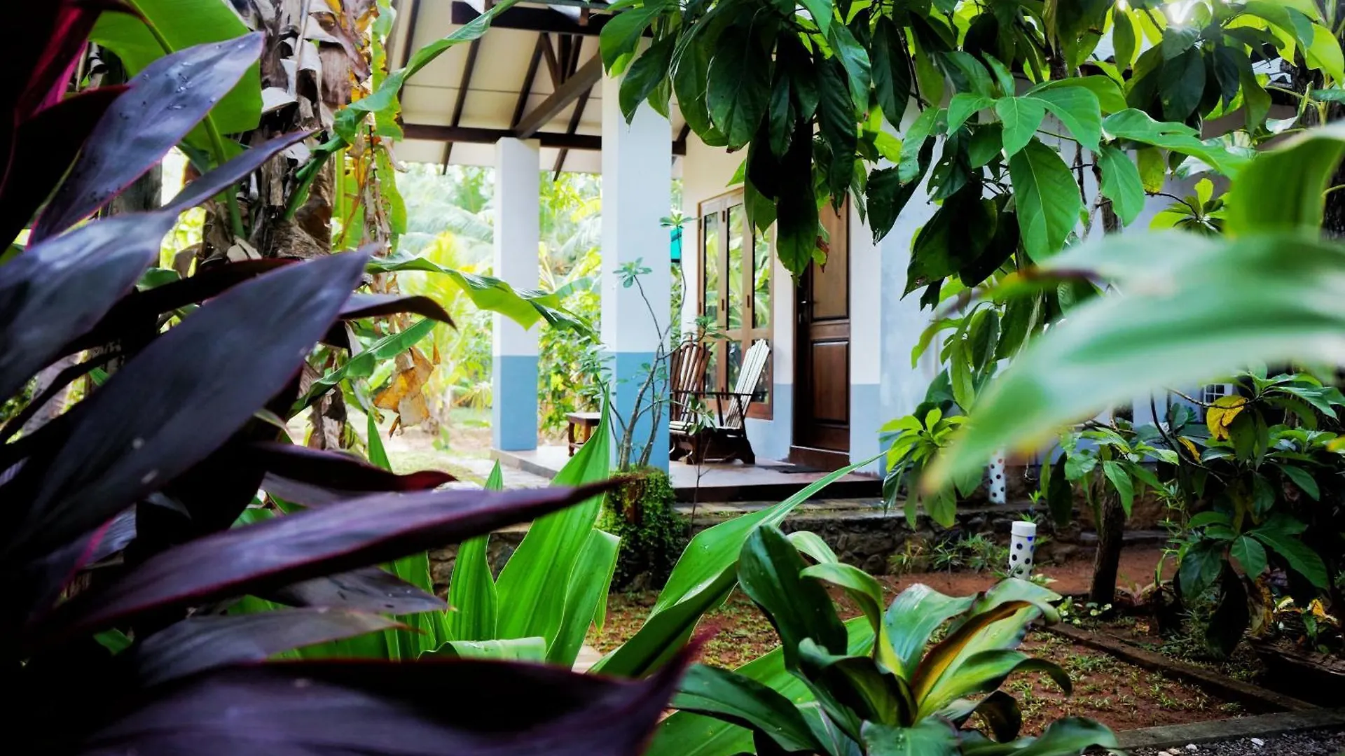 Danu Resort Inamaluwa 0*,