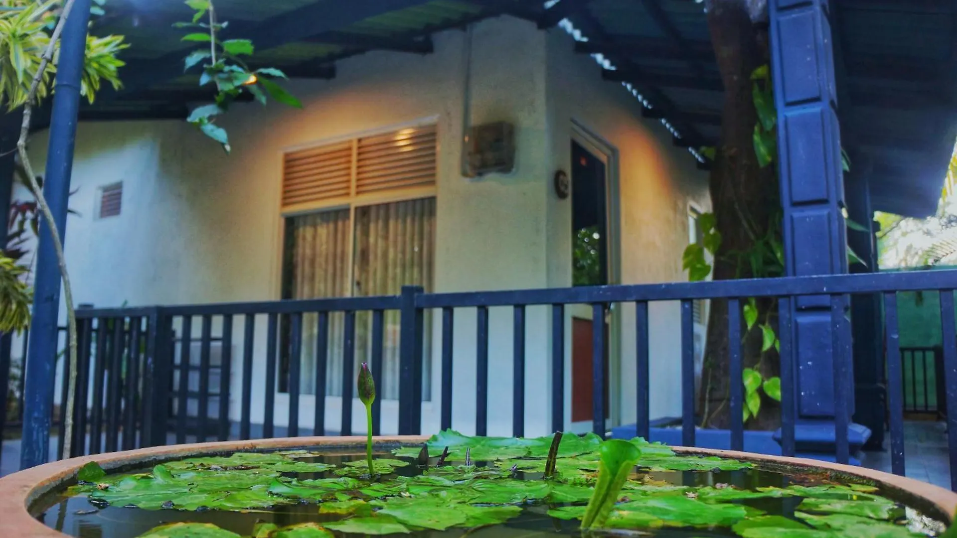 Danu Resort Inamaluwa 0*,